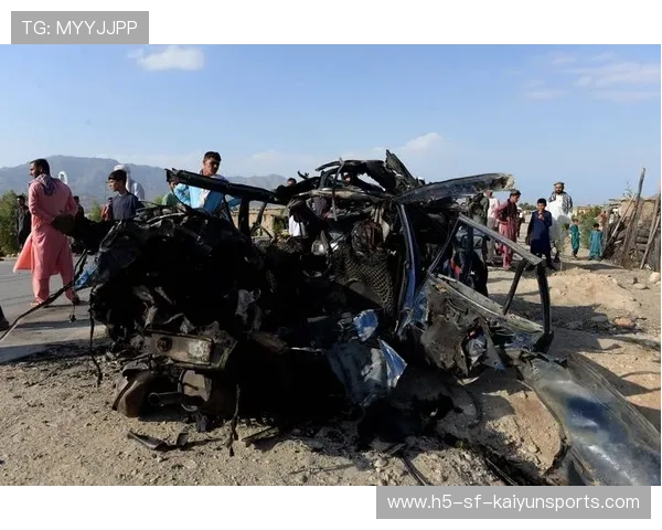 黑熊闯市引发致命事件，小男孩奇迹生还，黑熊闯进超市吓退店员后胡吃海喝 网友拍下搞笑画面
